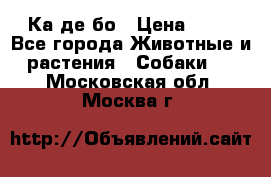 Ка де бо › Цена ­ 25 - Все города Животные и растения » Собаки   . Московская обл.,Москва г.